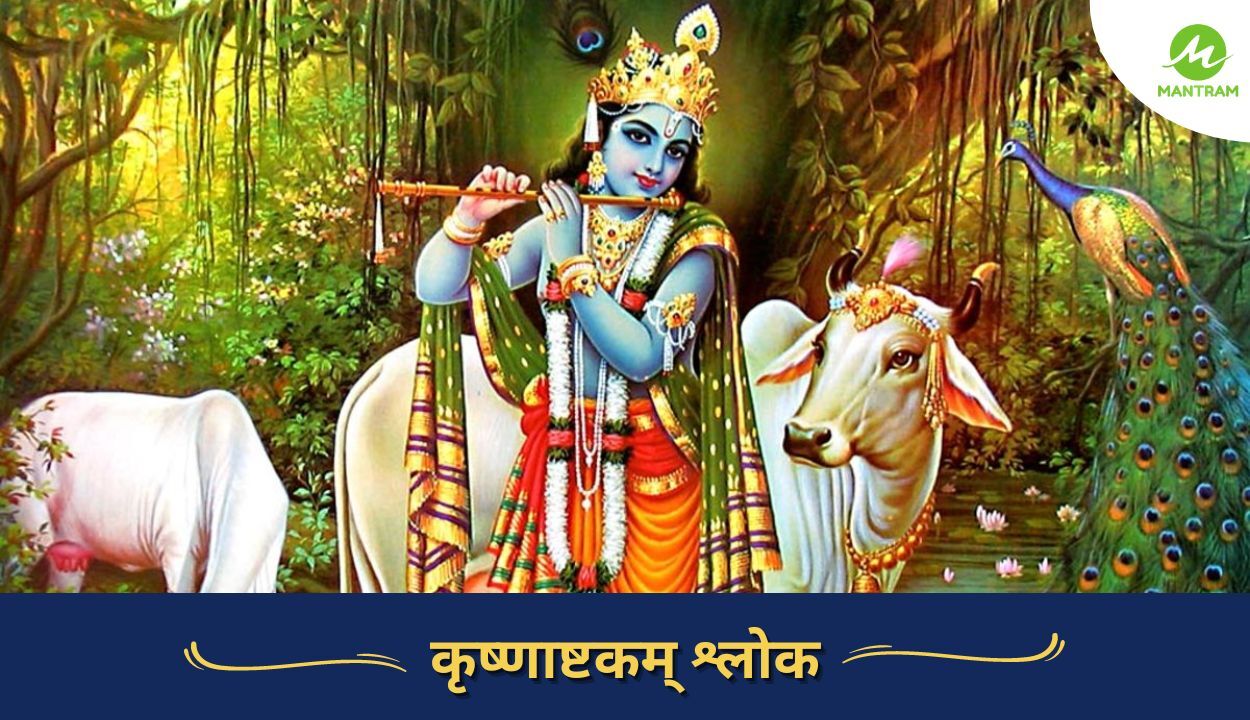 Krishna Ashtakam Lyrics in Hindi Sanskrit and English | कृष्णाष्टकम् श्लोक