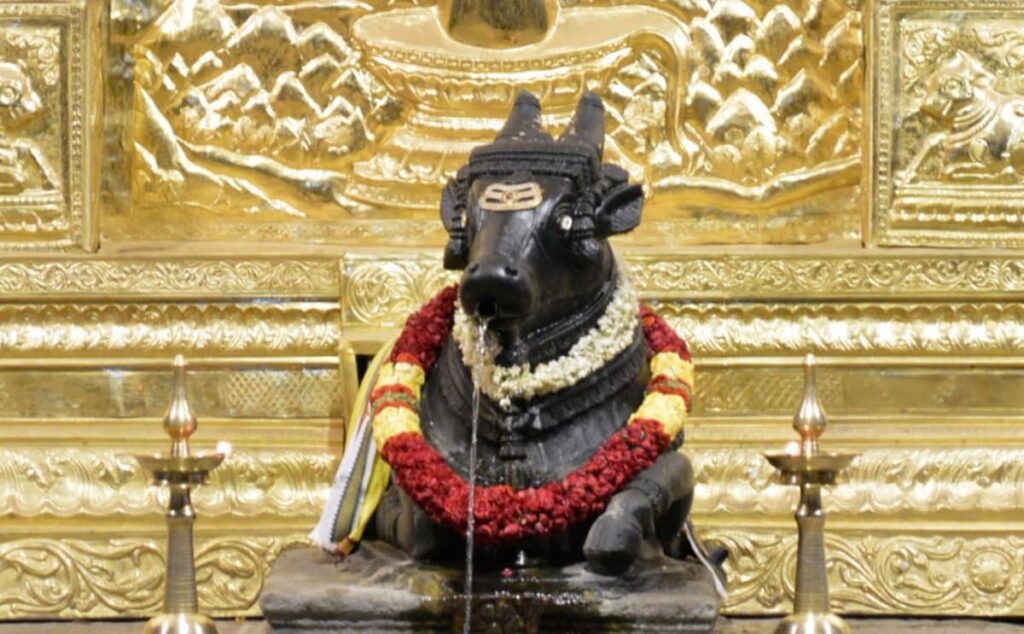 nandi ji Kadu Malleshwara 