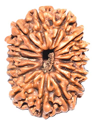 15 mukhi 