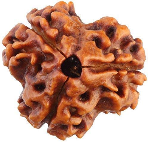 3 mukhi