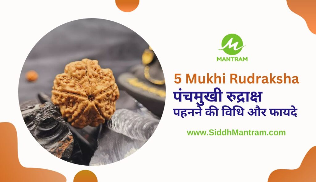 5 Mukhi Rudraksha: पंचमुखी रुद्राक्ष पहनने की विधि और फायदे के बारे में जानें