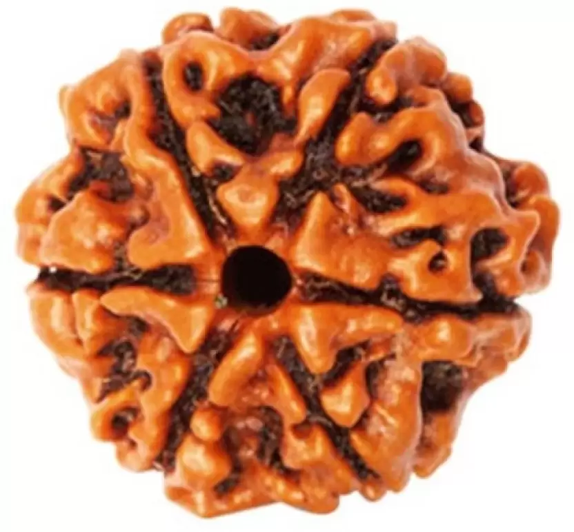 6 mukhi