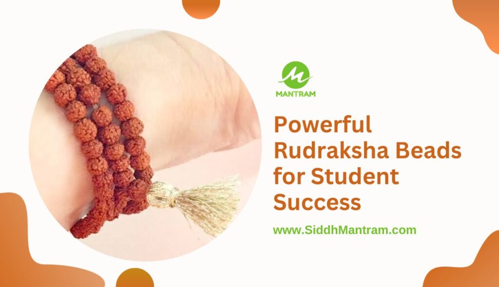 Enhance Focus with the Best Rudraksha Beads for Students